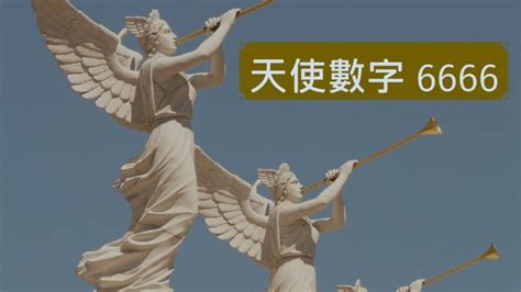 66數字|66：什麼是天使數字？天使在生活中用數字讓你注意、。